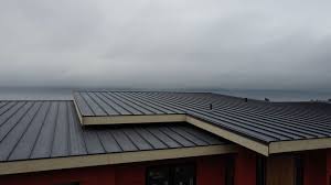 Best Metal Roofing Installation  in Bellevue, NE